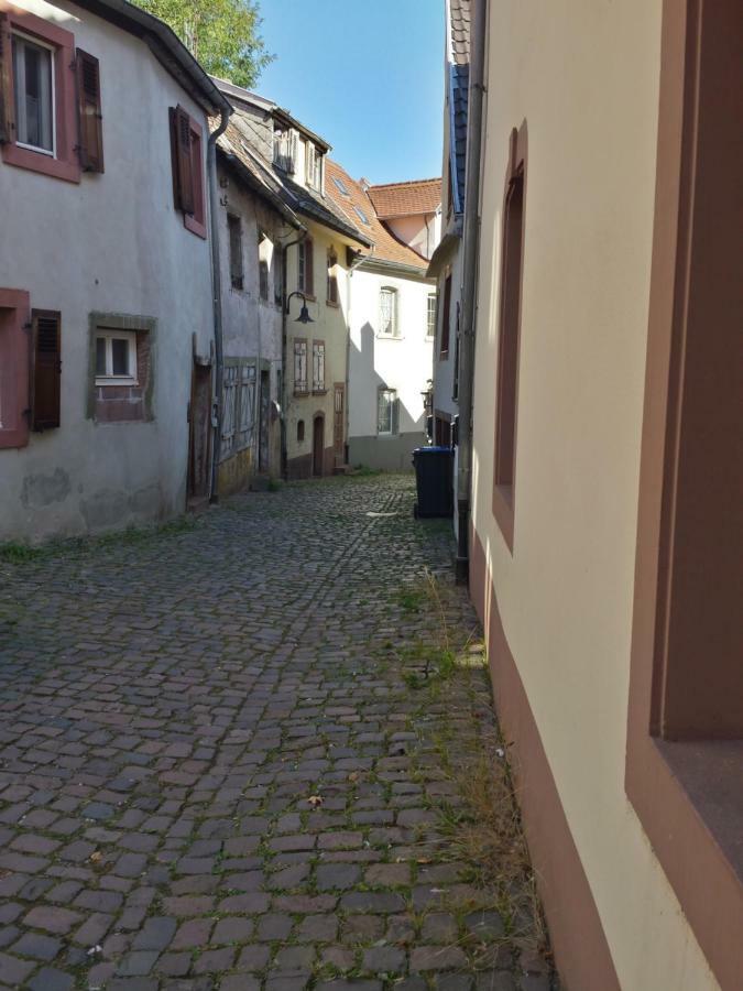 Moderne Wohnung in barockem Altstadthaus nahe Altstadt und Radweg Blieskastel Exterior foto